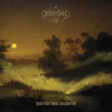 NETHERBIRD - Into the Vast Uncharted CD